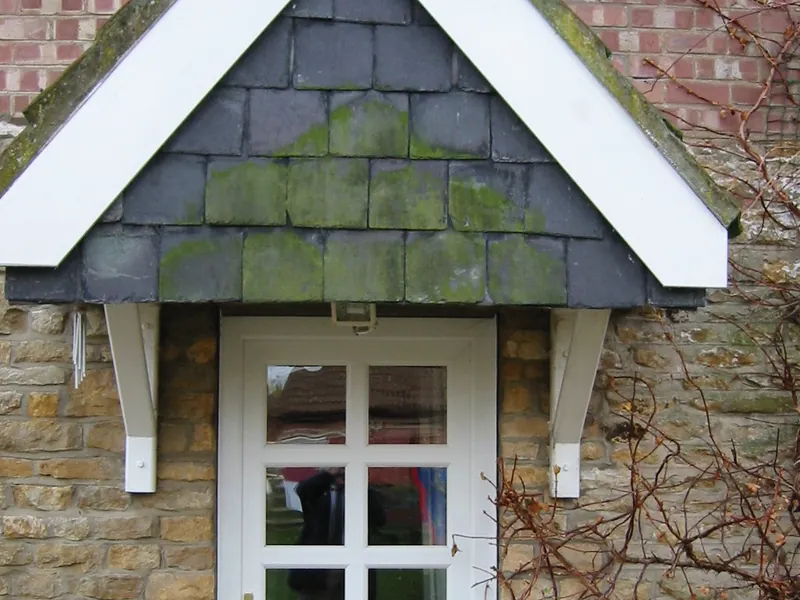 Back Doors — Gallery Forest Gate